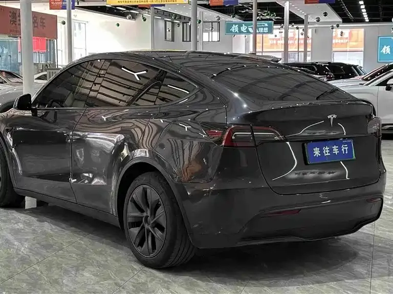 Tesla Model Y — фото 10