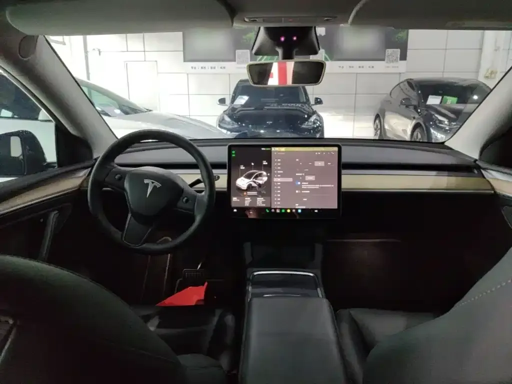 Tesla Model Y — фото 6