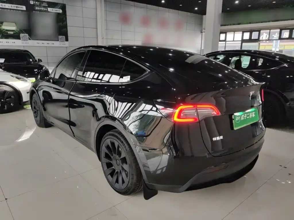 Tesla Model Y — фото 9