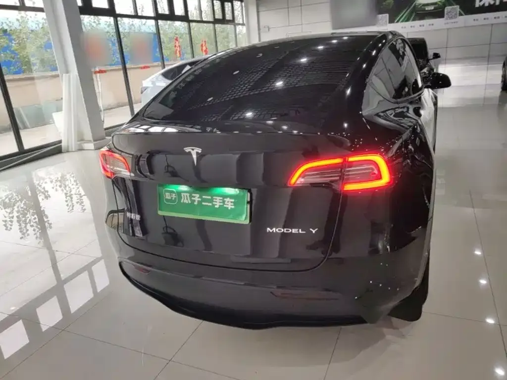 Tesla Model Y — фото 10