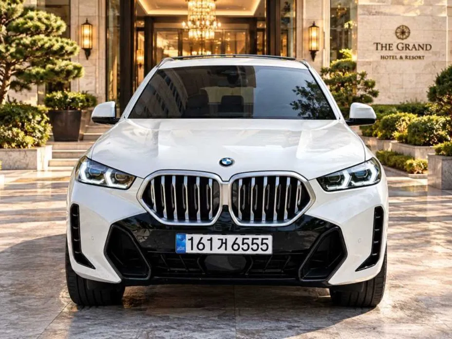 BMW X6 — фото 10