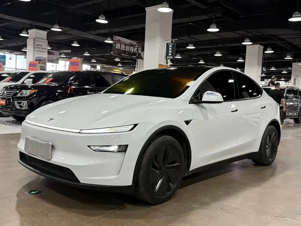 Tesla Model Y — фото 1