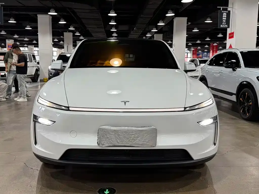 Tesla Model Y — фото 2