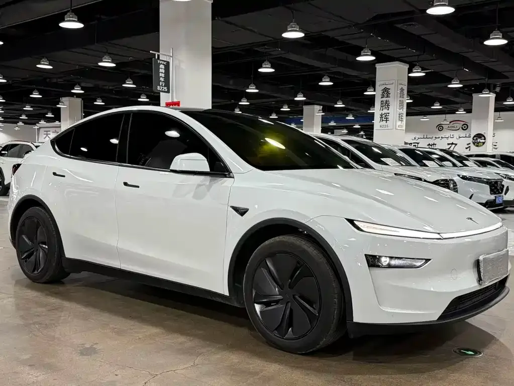 Tesla Model Y — фото 8
