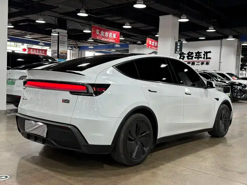 Tesla Model Y — фото 6