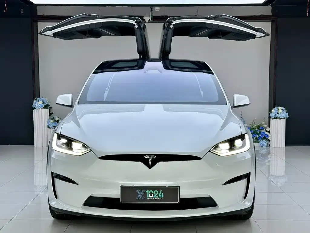 Tesla Model X — фото 8