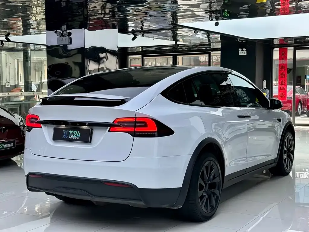 Tesla Model X — фото 6