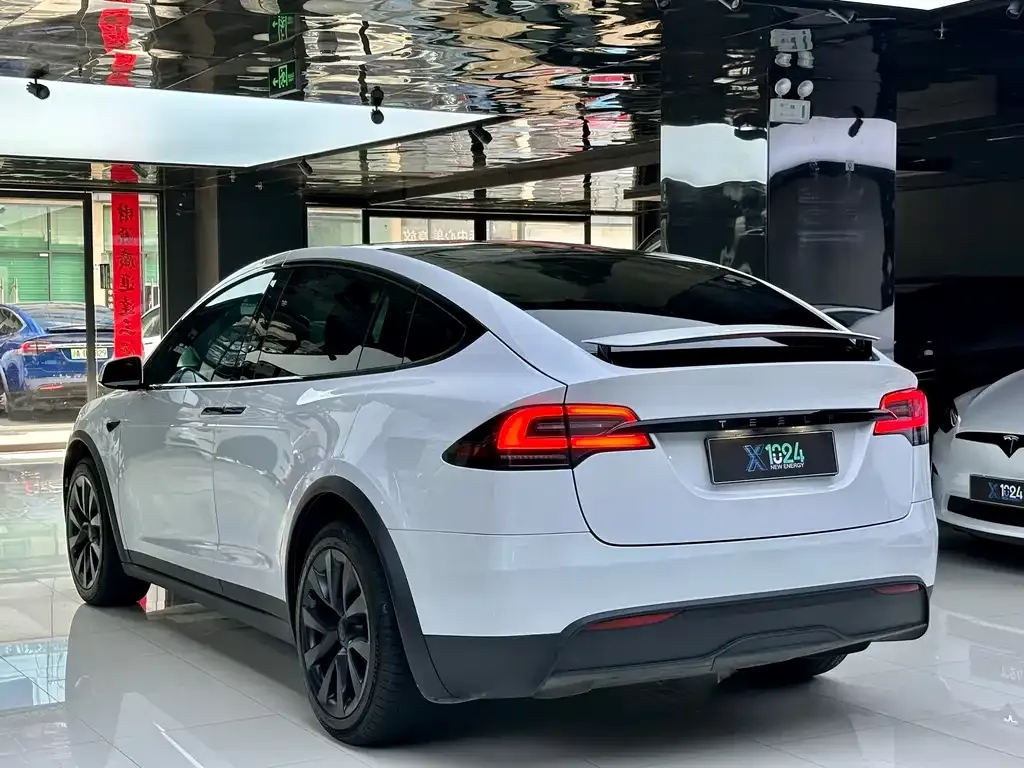Tesla Model X — фото 10