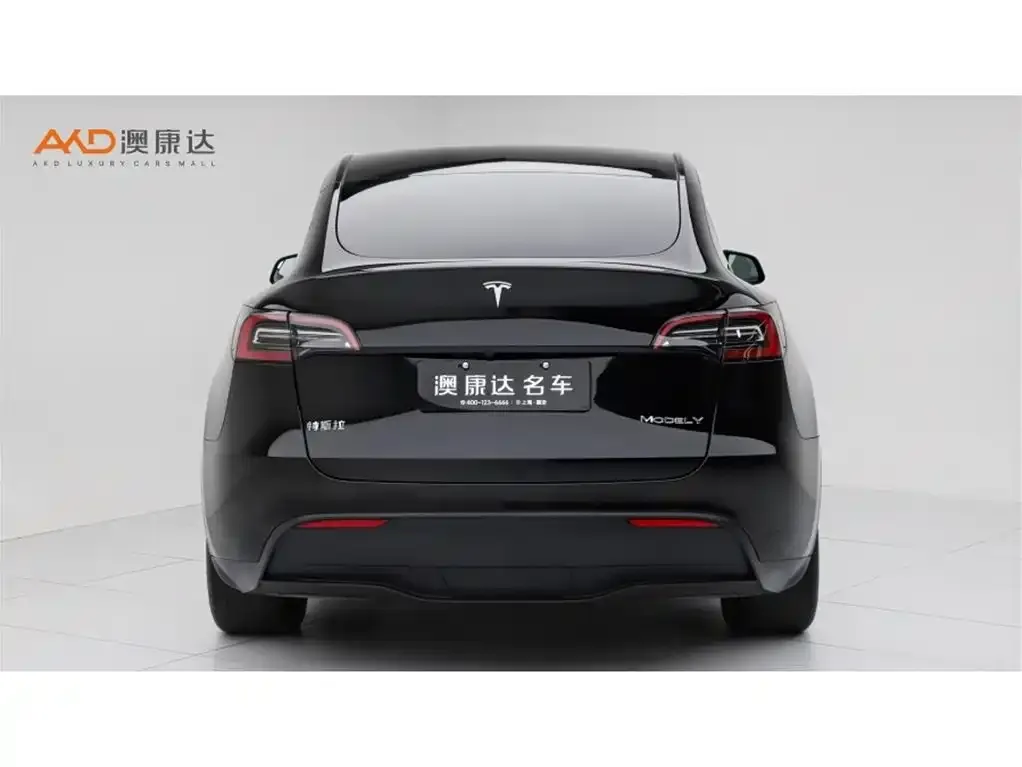 Tesla Model Y — фото 5