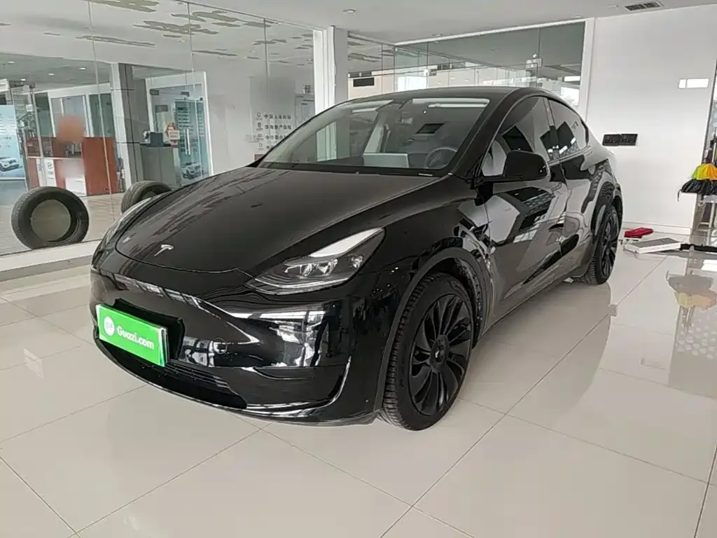 Tesla Model Y — фото 1