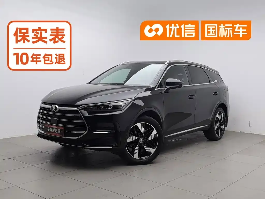 BYD Tang New Energy — фото 1