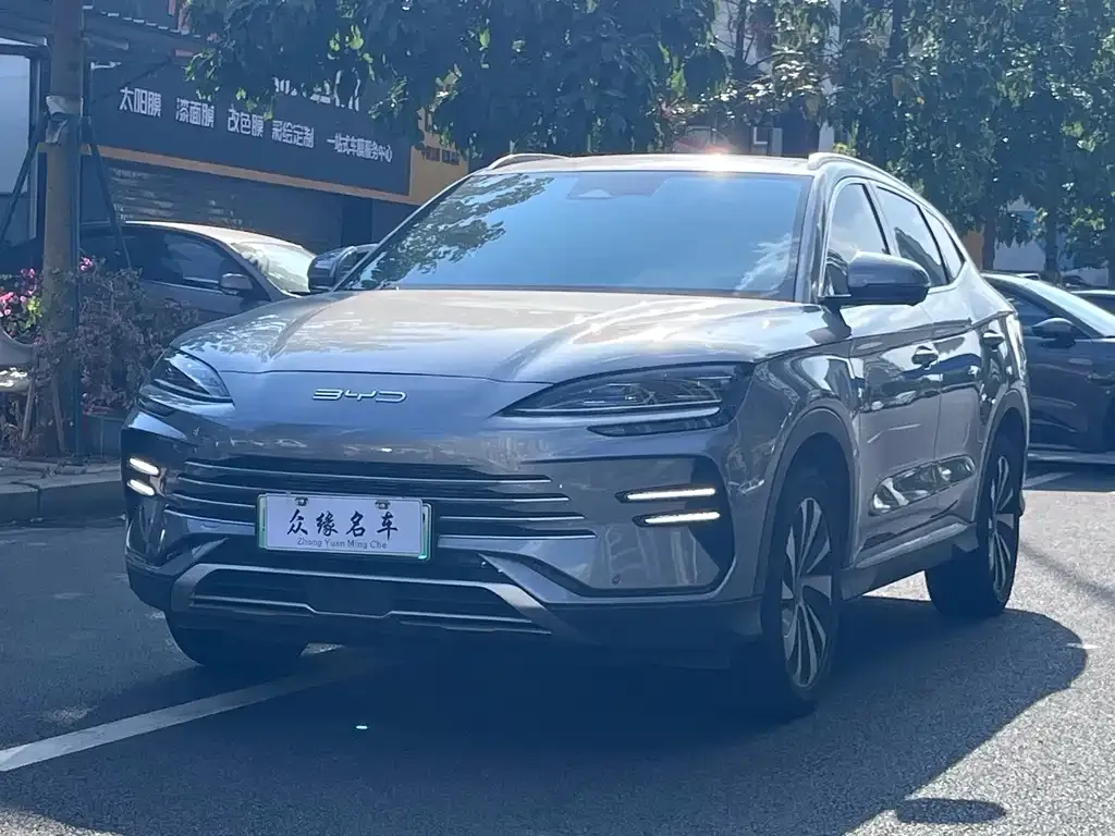 BYD PLUS New Energy — фото 1