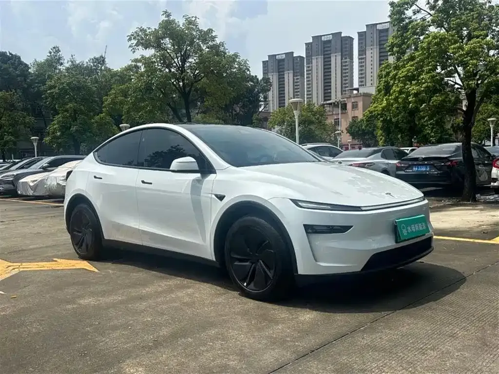 Tesla Model Y — фото 8