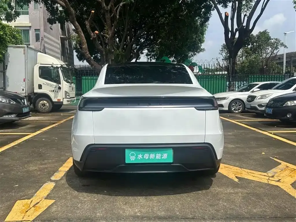 Tesla Model Y — фото 6