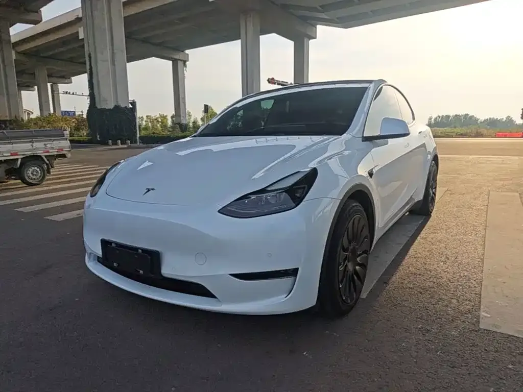 Tesla Model Y — фото 1
