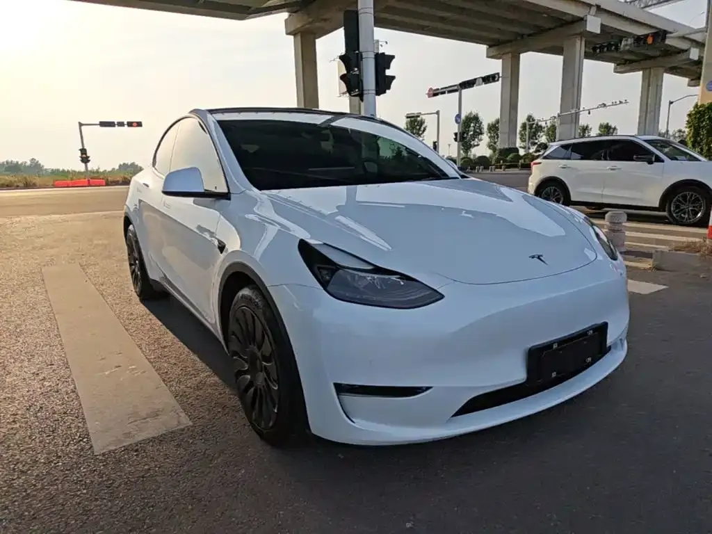 Tesla Model Y — фото 10