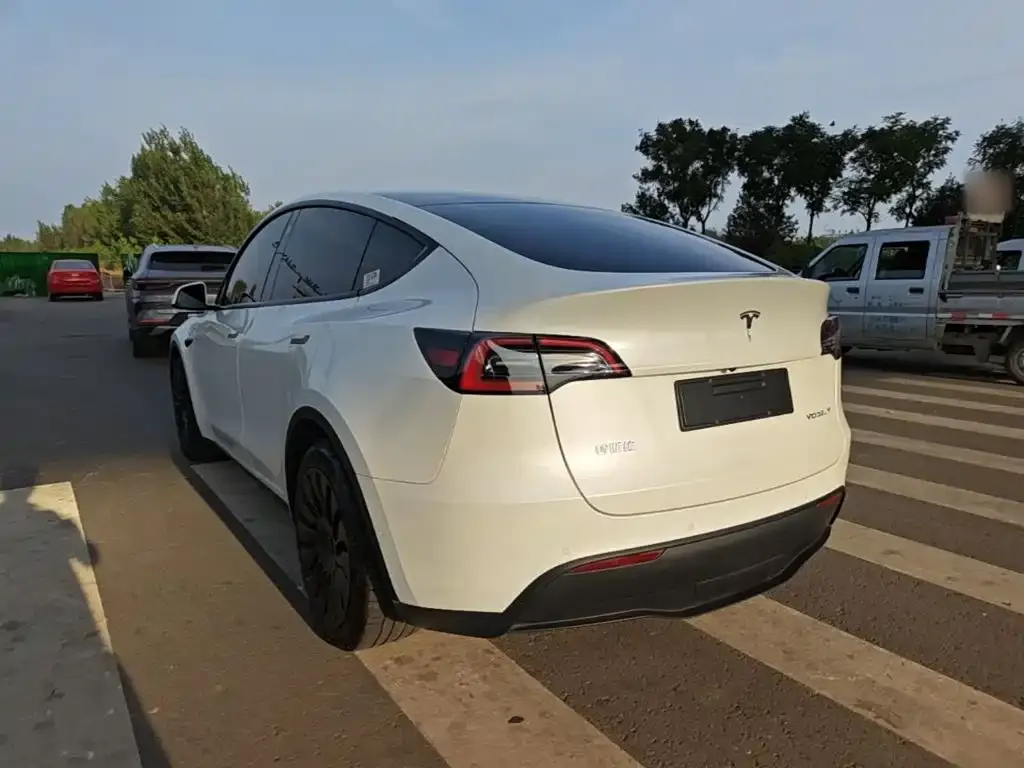 Tesla Model Y — фото 2