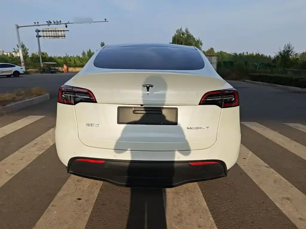 Tesla Model Y — фото 6