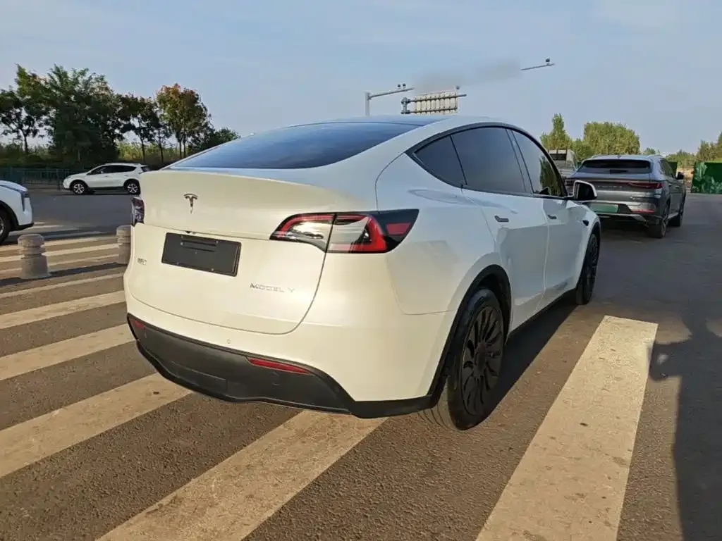 Tesla Model Y — фото 8