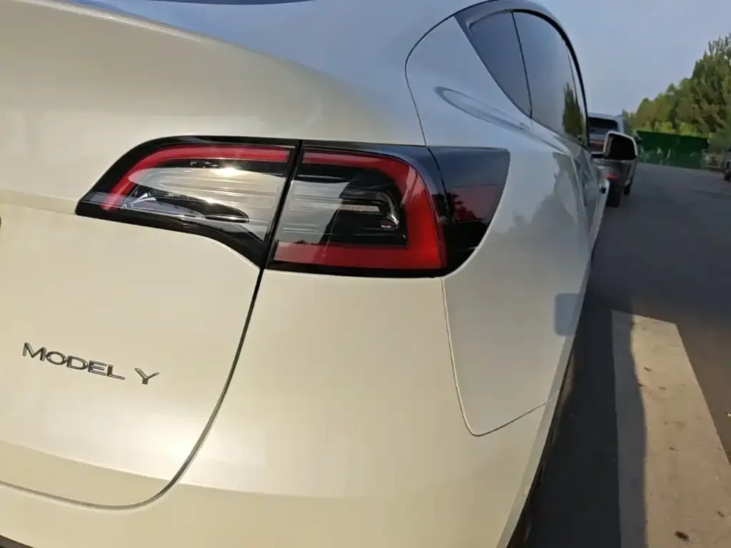 Tesla Model Y — фото 5