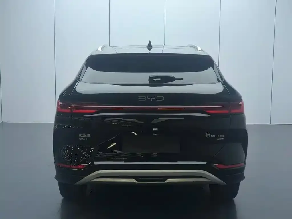 BYD PLUS New Energy — фото 7