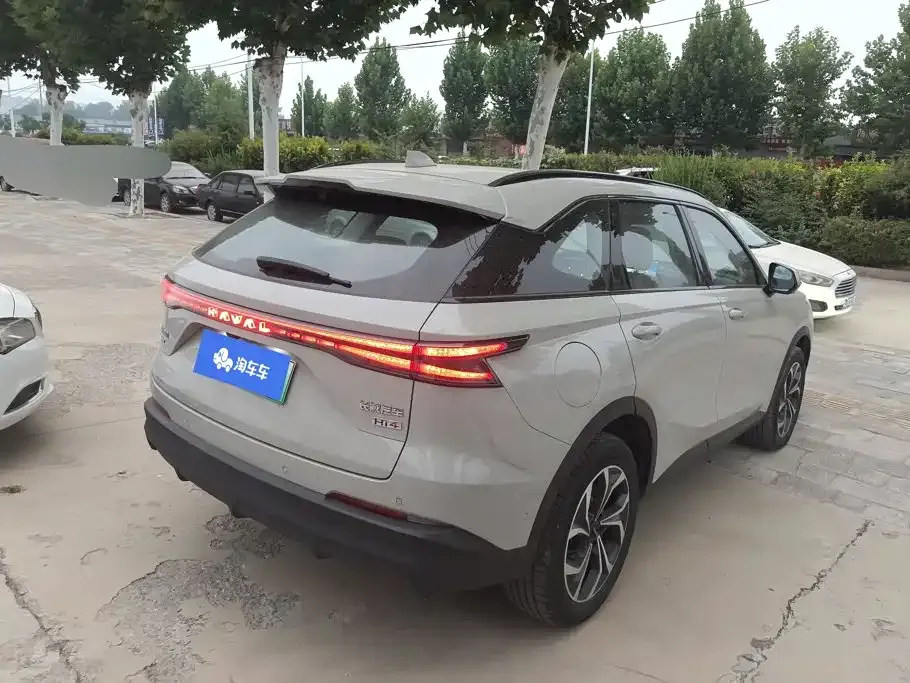 Haval Xiaolong MAX — фото 9