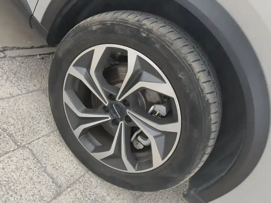 Haval Xiaolong MAX — фото 10