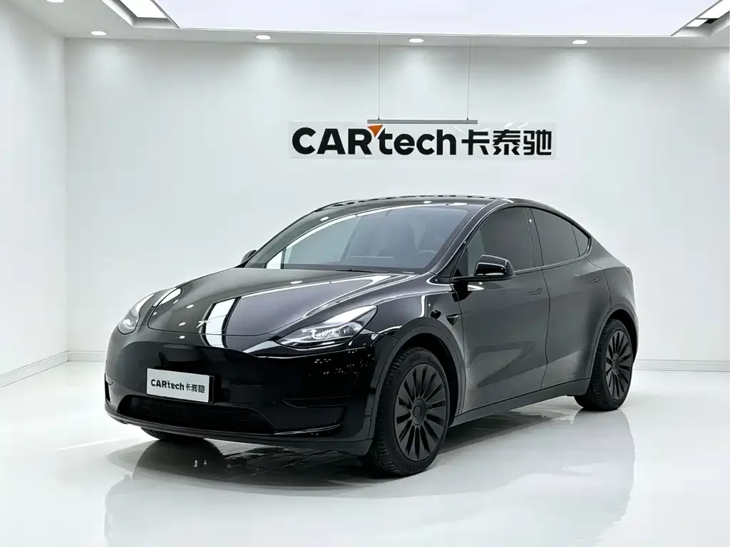 Tesla Model Y — фото 1