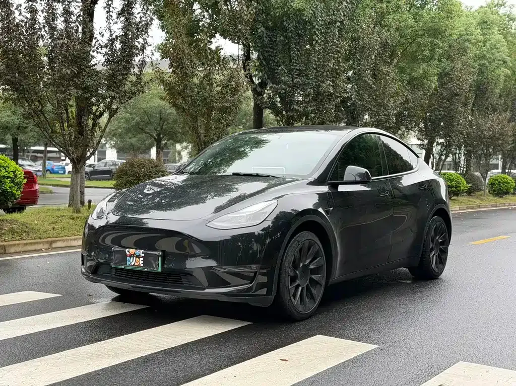 Tesla Model Y — фото 1
