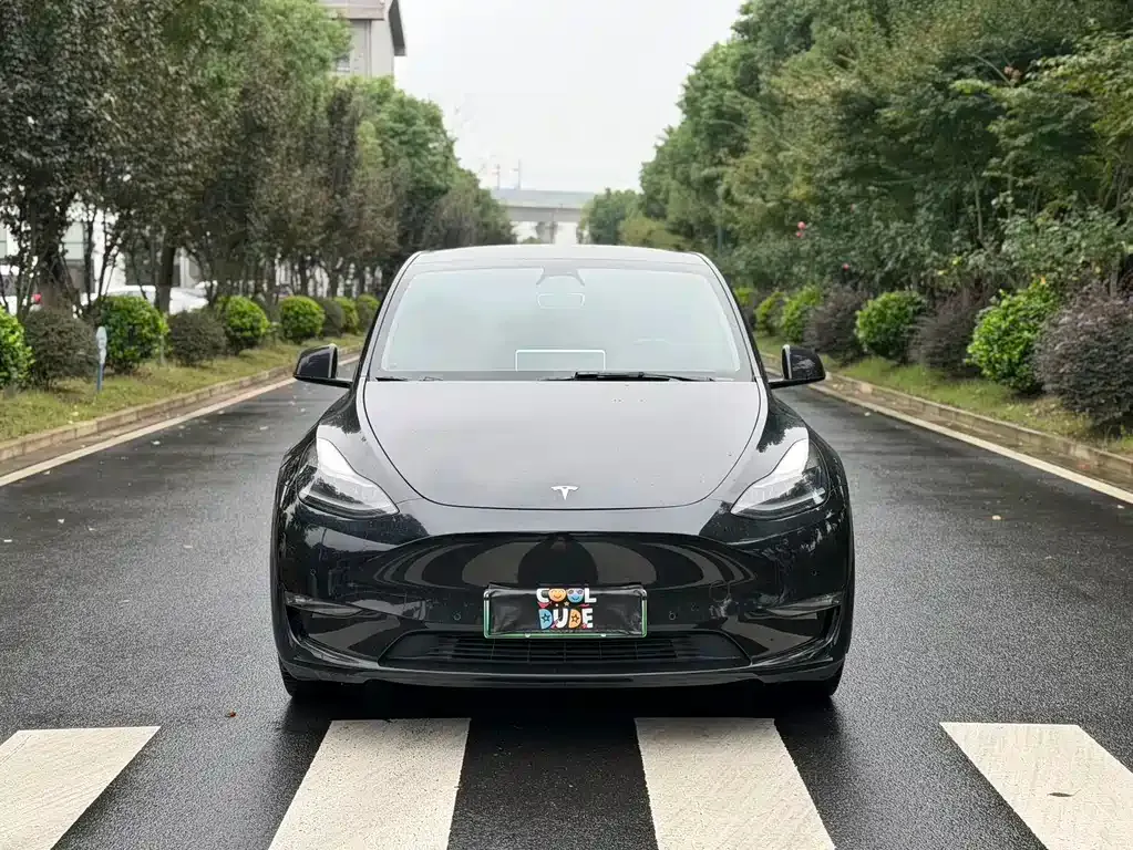 Tesla Model Y — фото 5