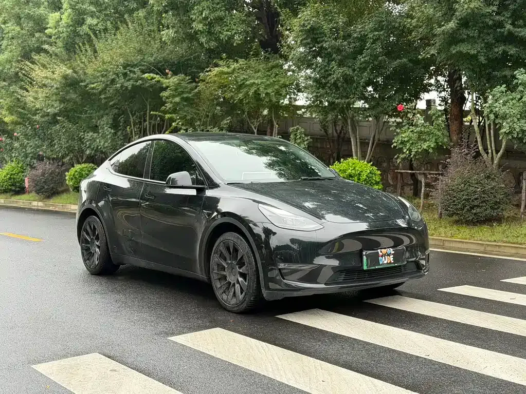 Tesla Model Y — фото 10