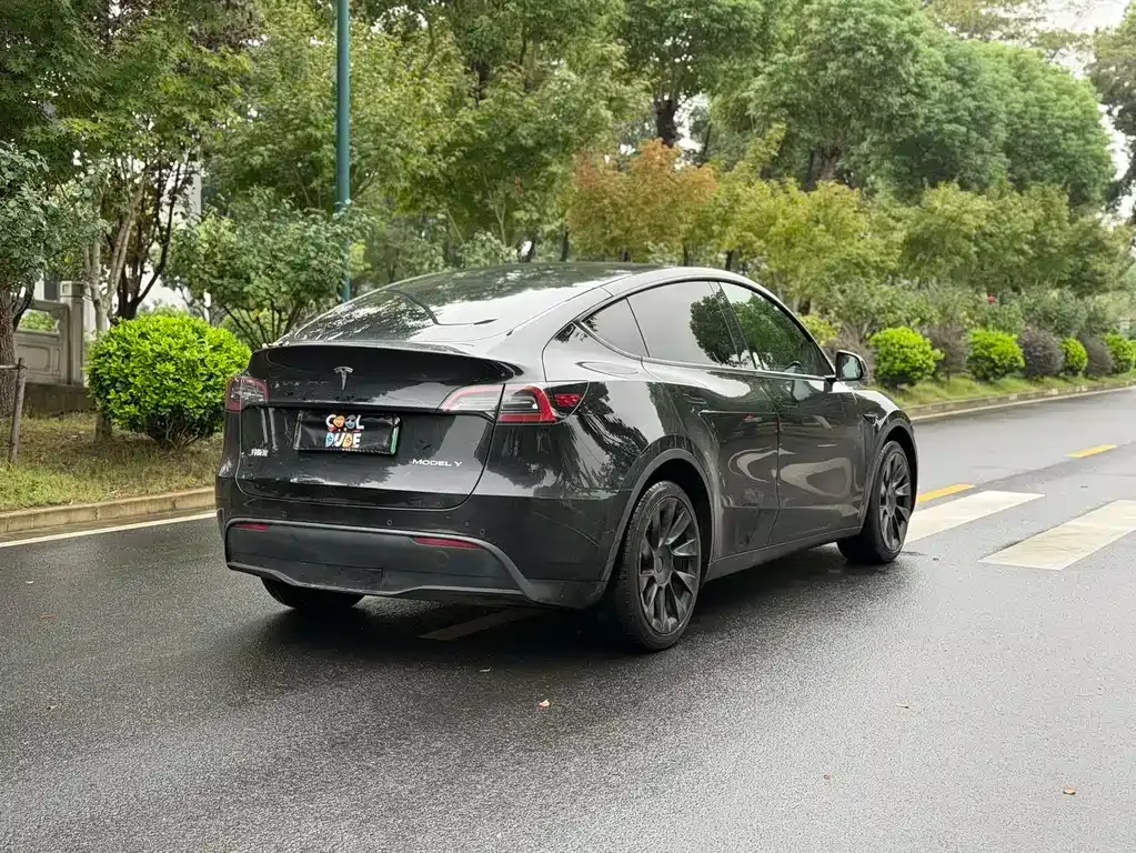 Tesla Model Y — фото 7
