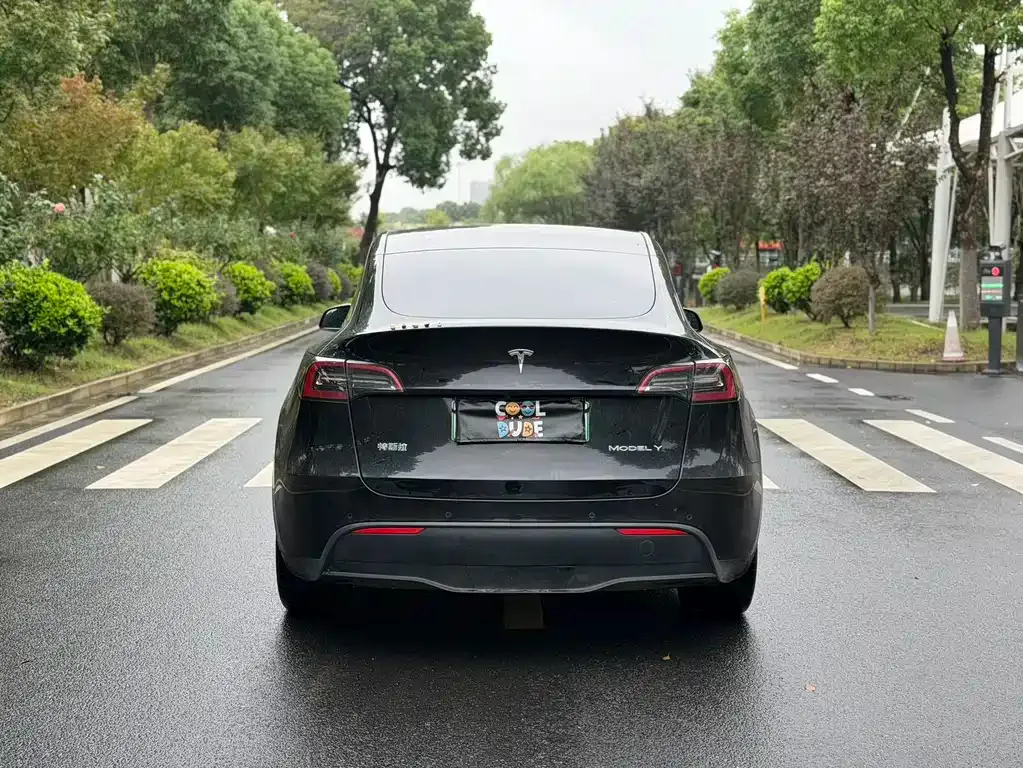 Tesla Model Y — фото 6