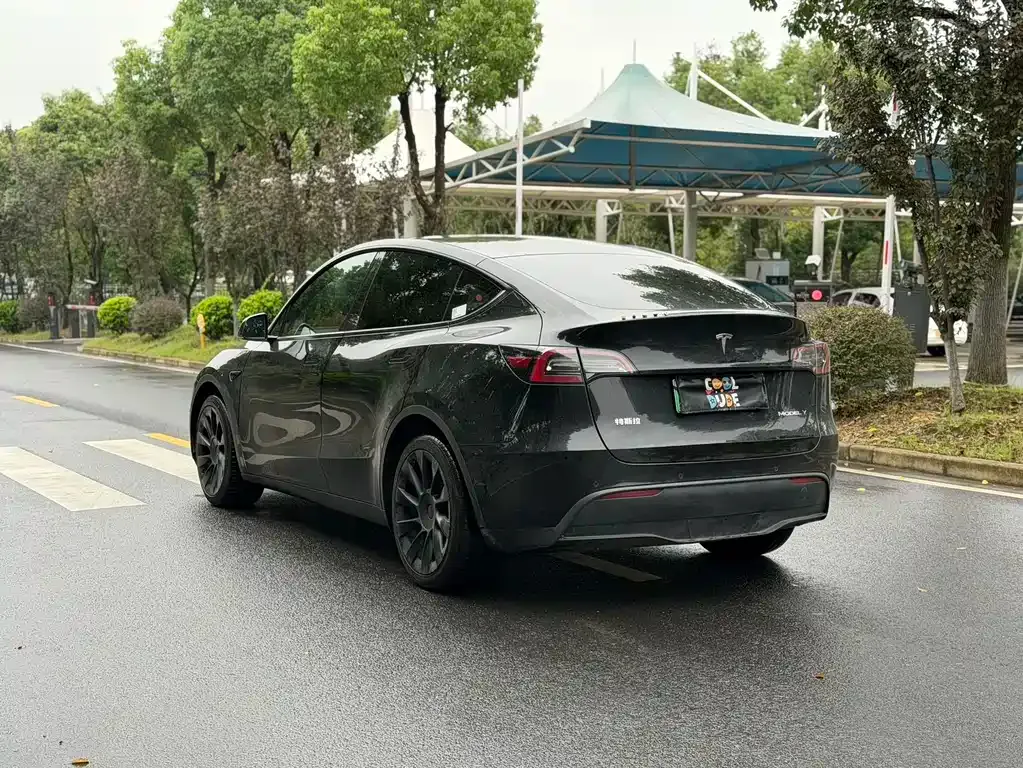 Tesla Model Y — фото 9