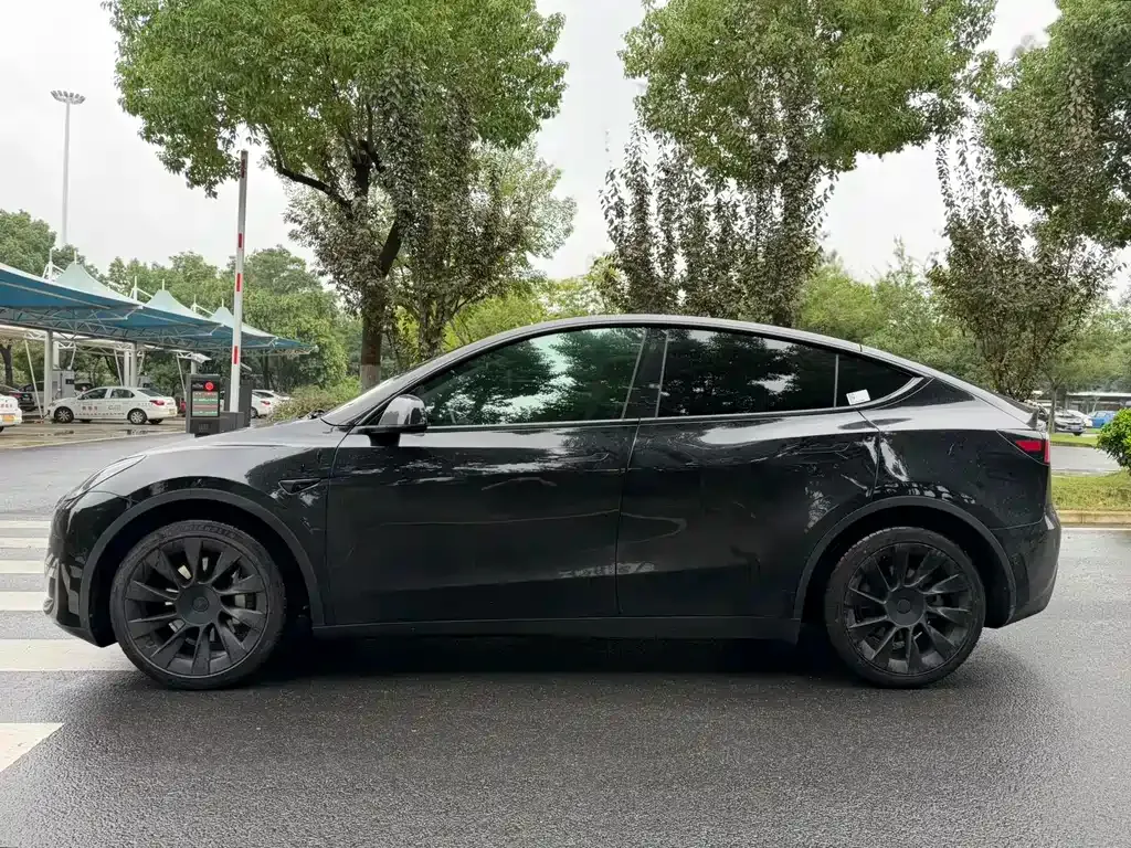 Tesla Model Y — фото 8