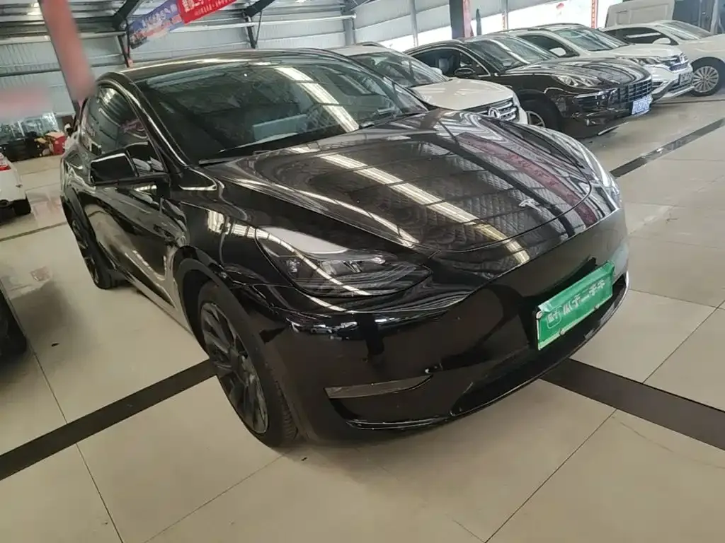 Tesla Model Y — фото 3