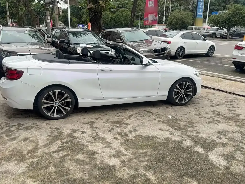 BMW 2 Series (Import) — фото 5
