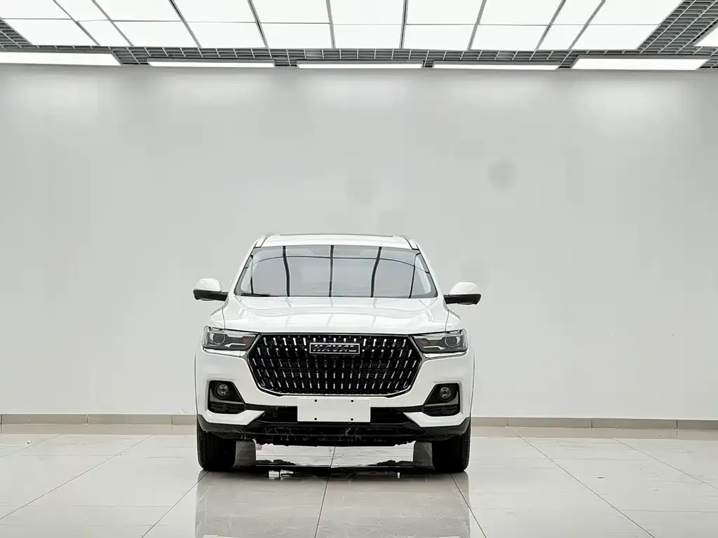 Haval H6 — фото 10