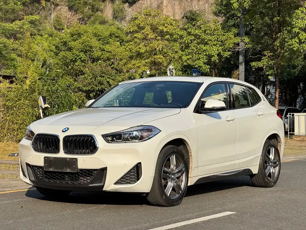 BMW X2 — фото 1
