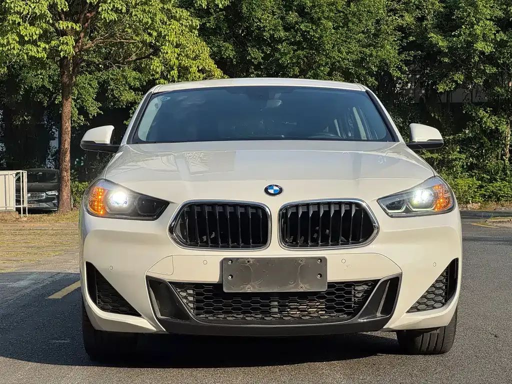 BMW X2 — фото 9