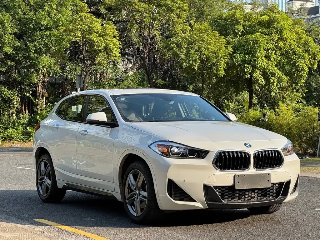 BMW X2 — фото 10