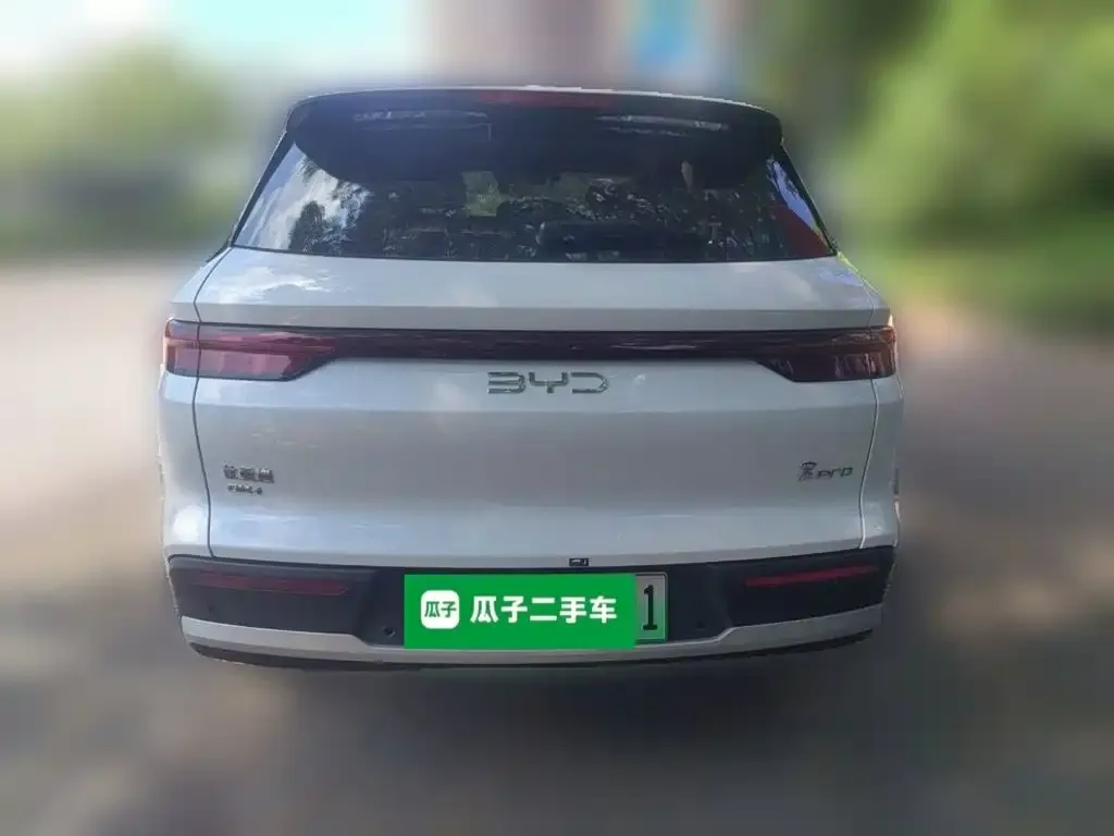 BYD Pro New Energy — фото 2