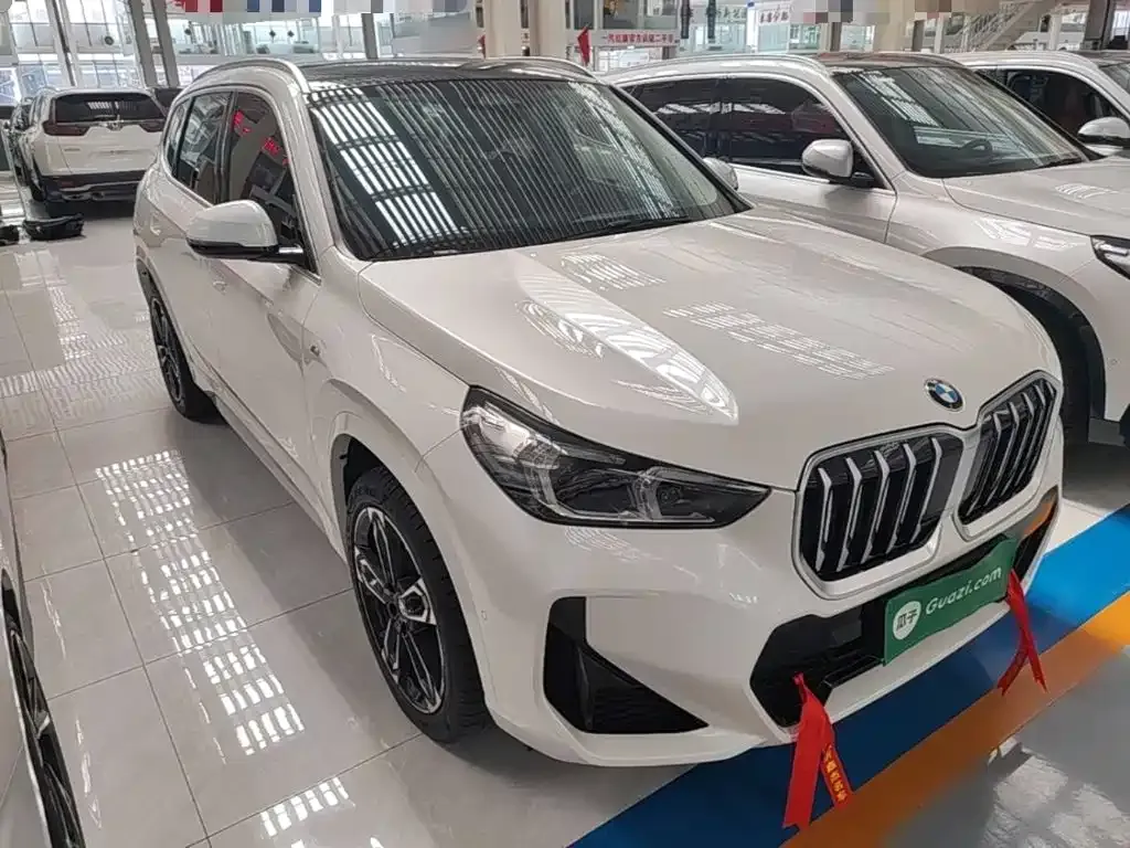 BMW X1 — фото 9