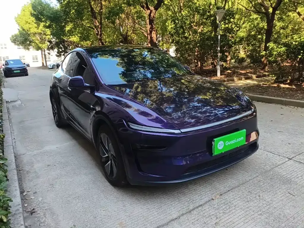 Tesla Model Y — фото 10