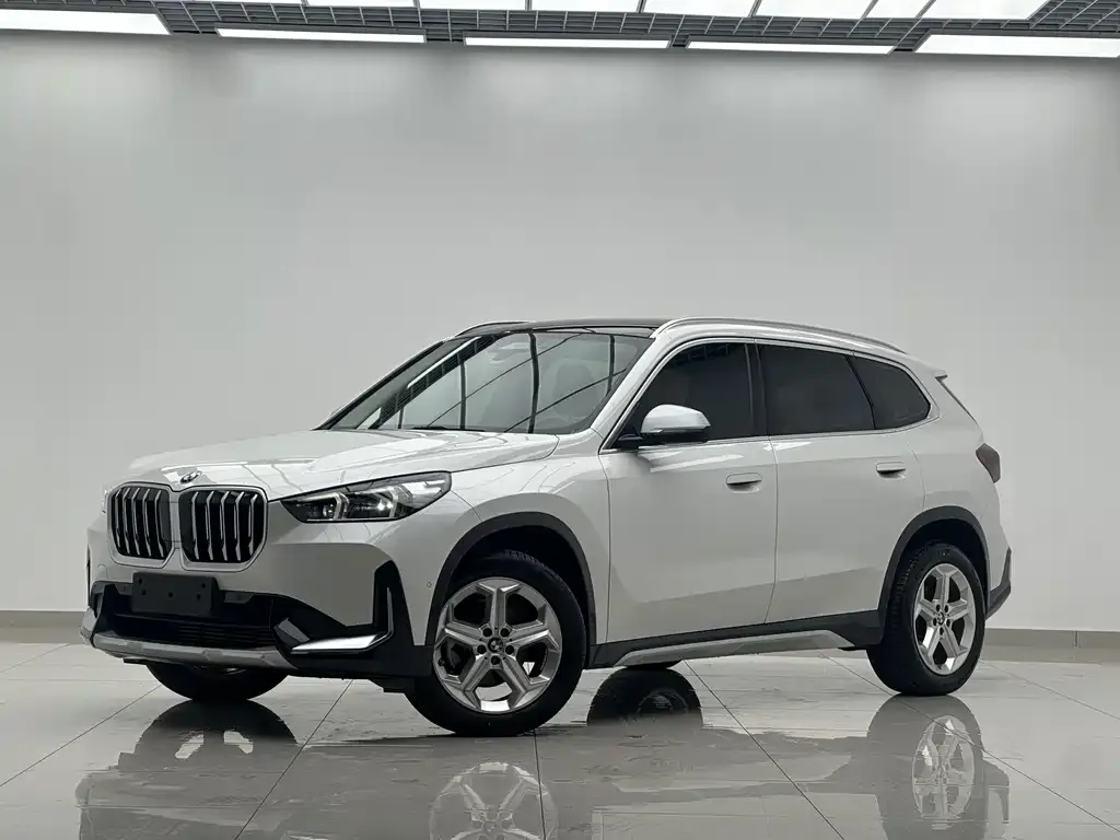 BMW X1 — фото 1