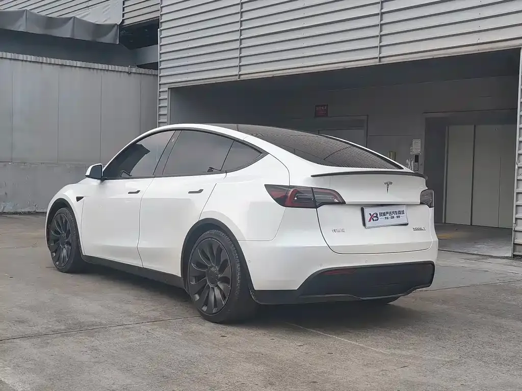 Tesla Model Y — фото 10
