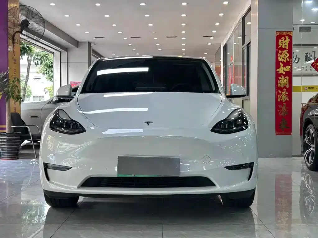 Tesla Model Y — фото 2
