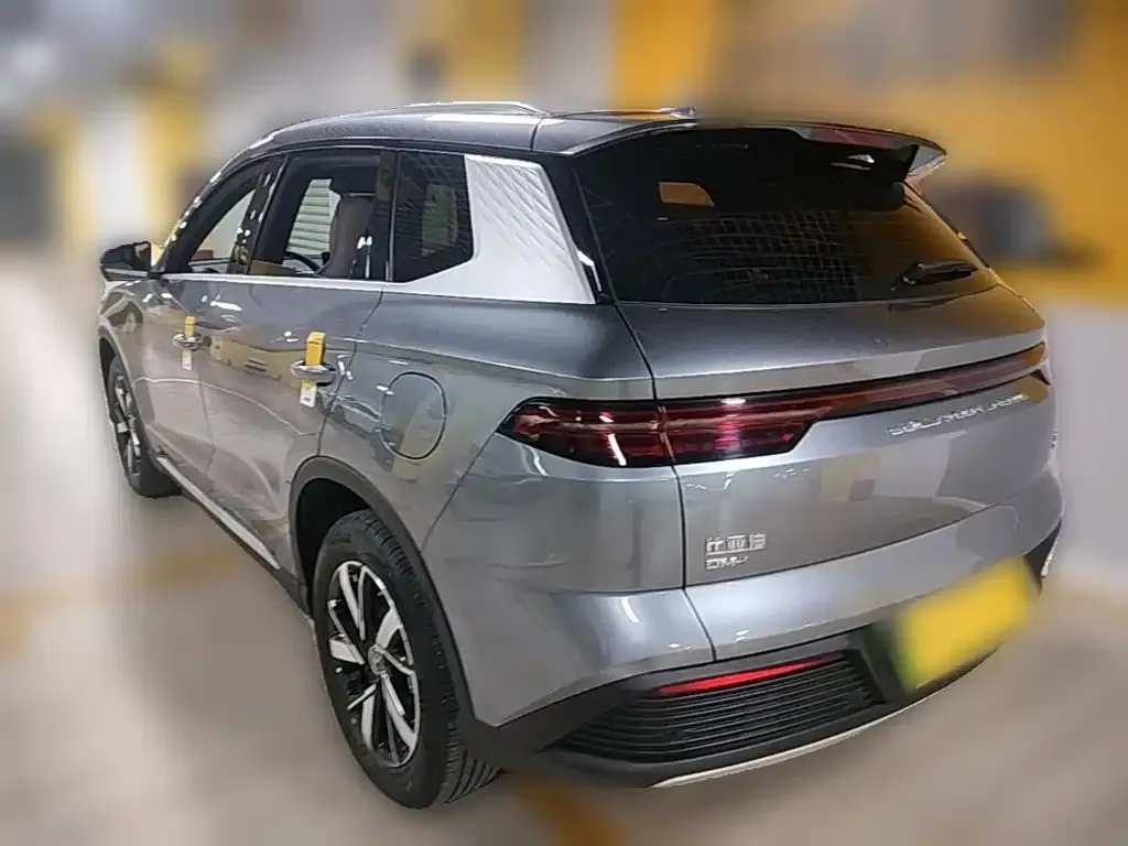 BYD Pro New Energy — фото 4