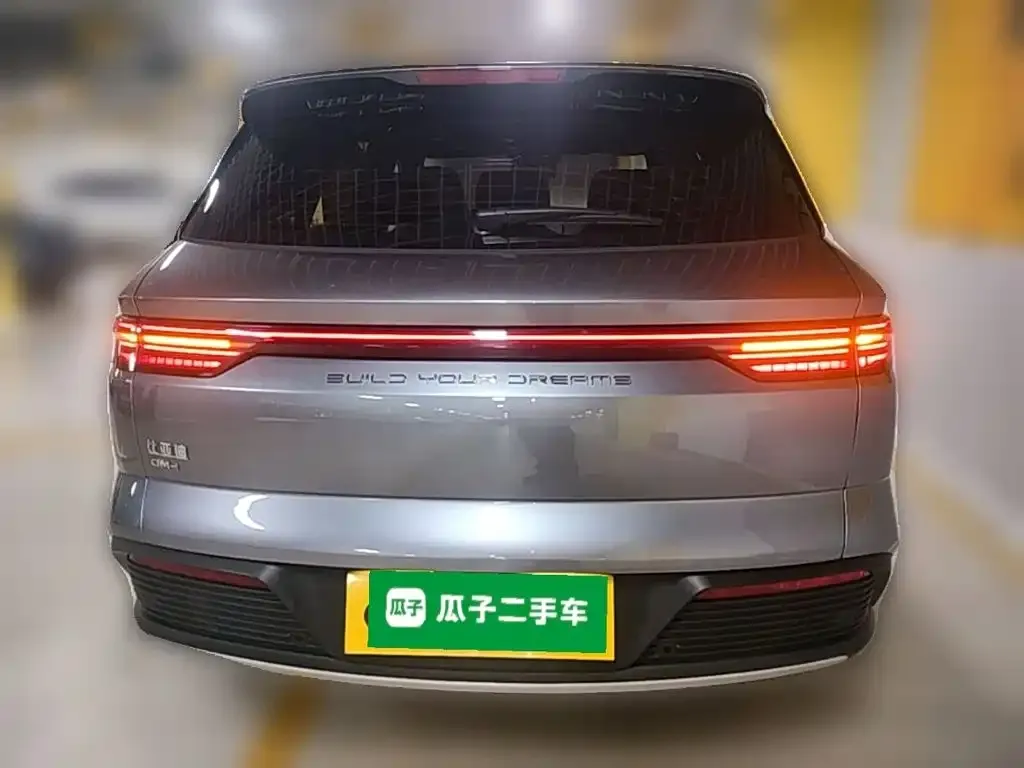 BYD Pro New Energy — фото 9