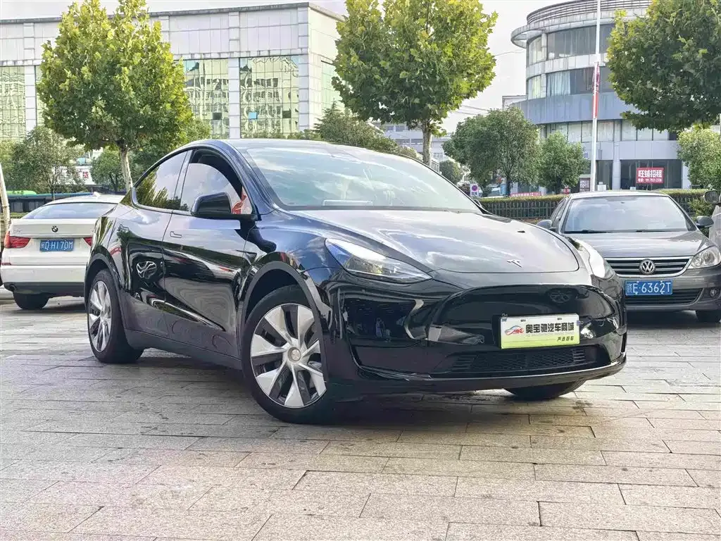 Tesla Model Y — фото 10